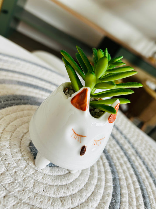 Planta artificial con macetero de animal